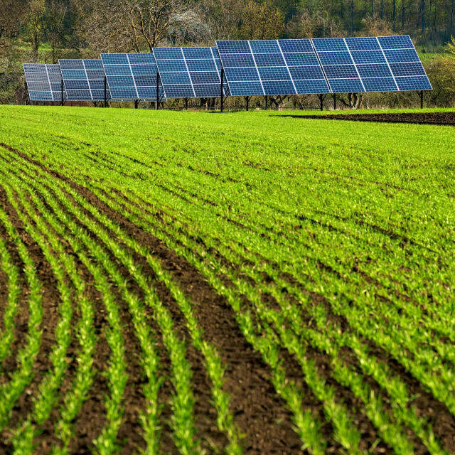 05_agrivoltaics_web
