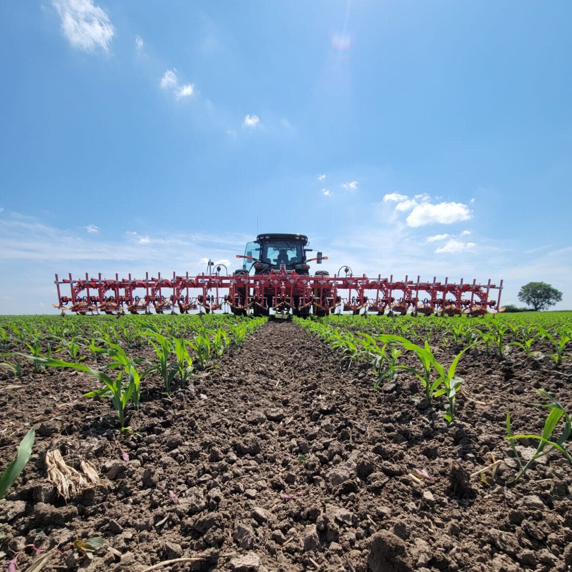 spraying crop