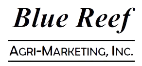Blue-Reef Marketing Logo