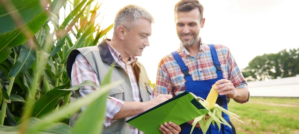 farmers-assessing-corn-crop