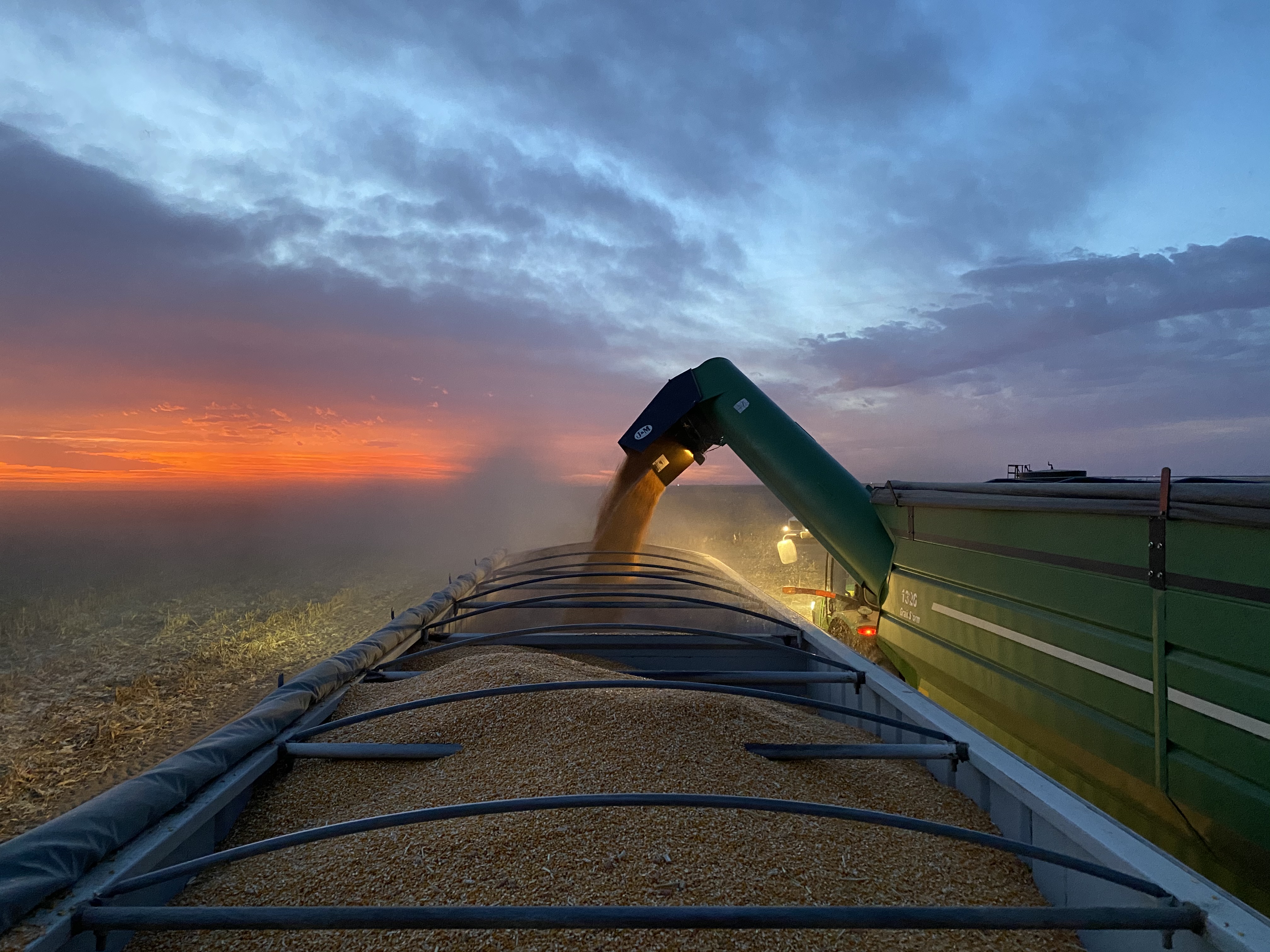 harvest-grain