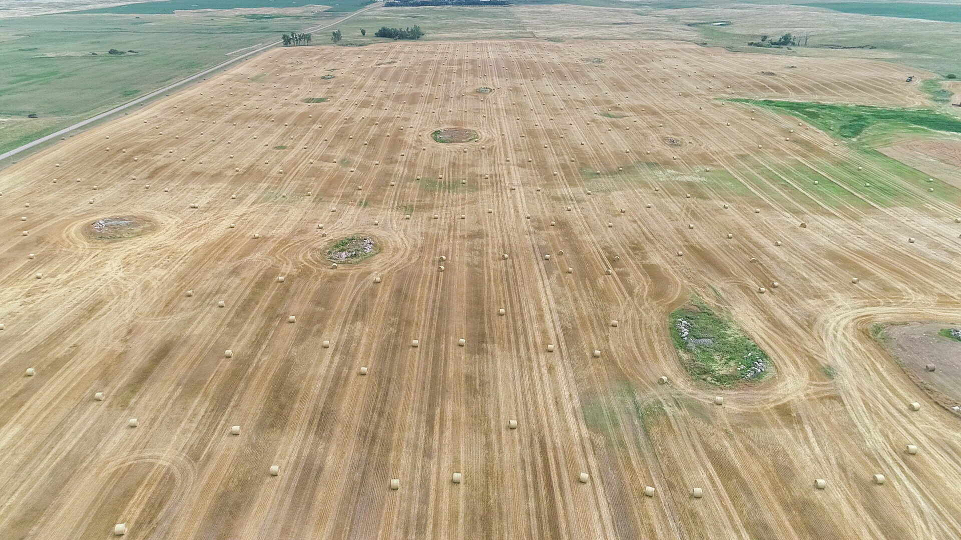 hay-farm-land-harvested