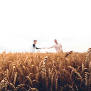 farmers-shaking-hands