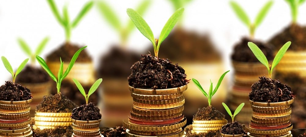soil-and-growing-plant-on-top-of-coins