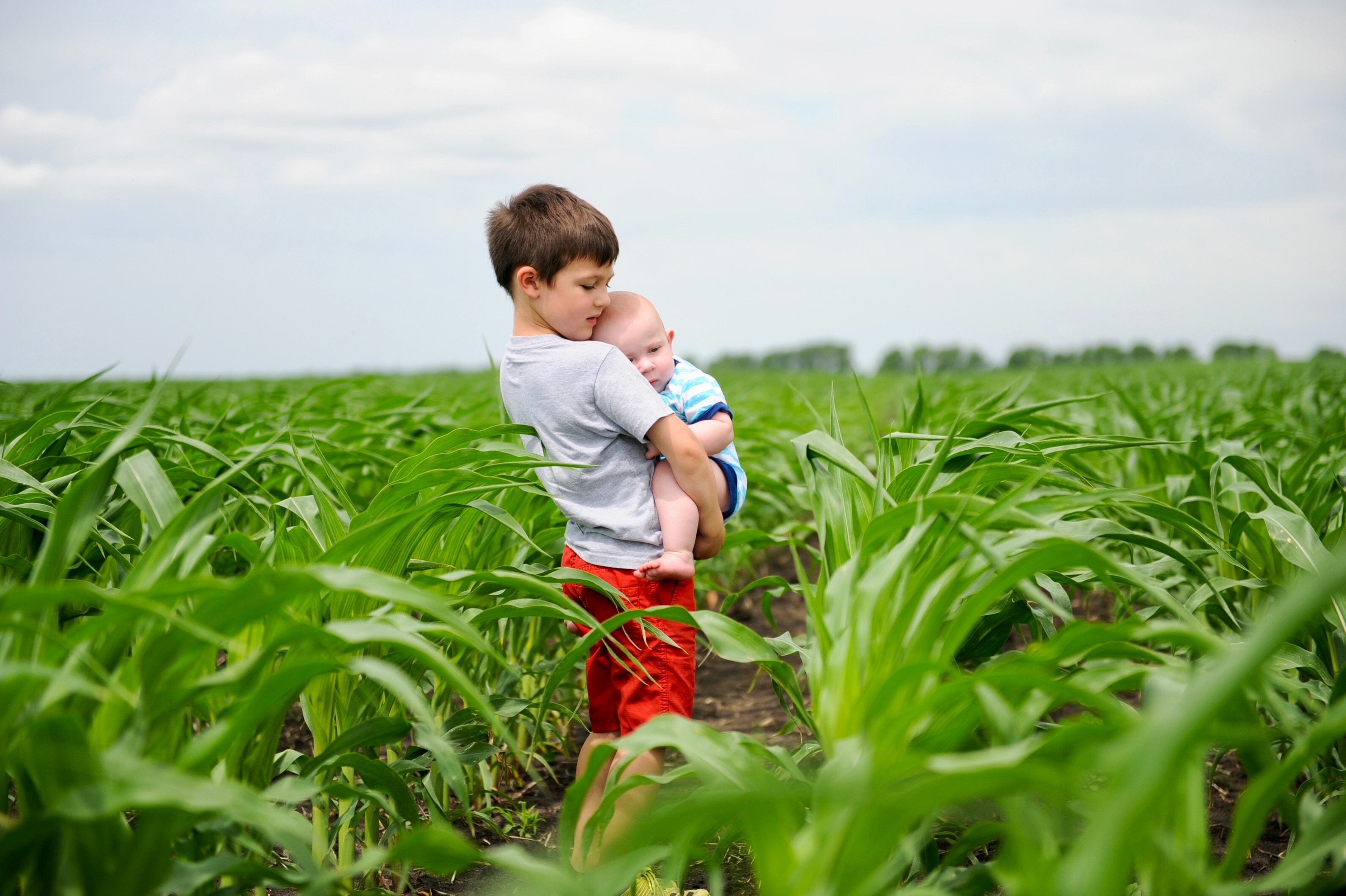 kids-siblings-in-corn-field