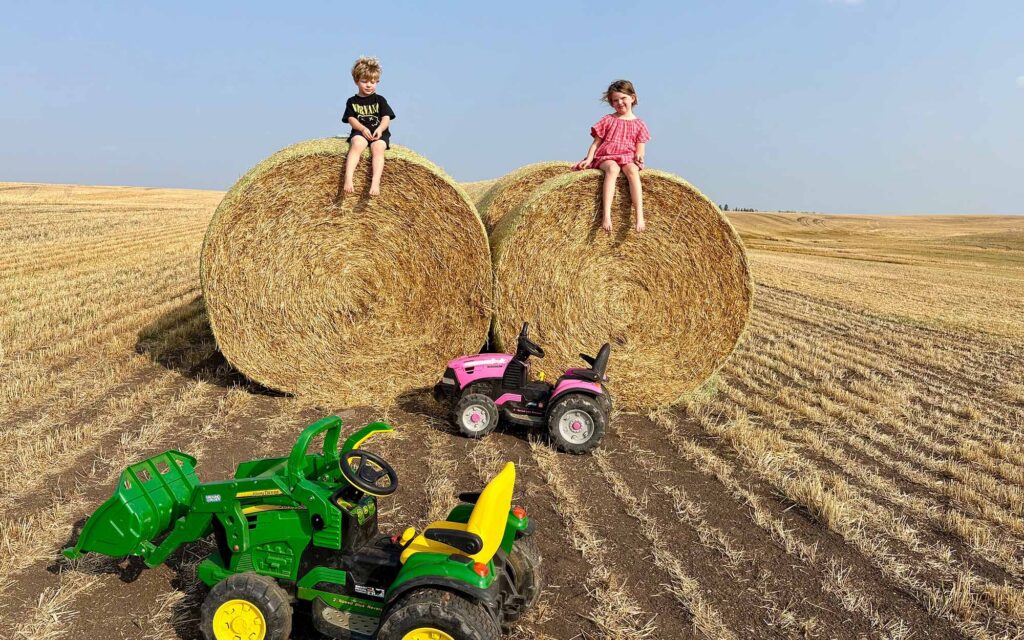 Allam Farms (7)
