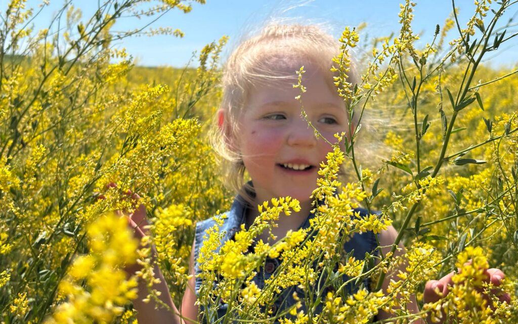-Holt (3) Grace Hill Farms Ltd