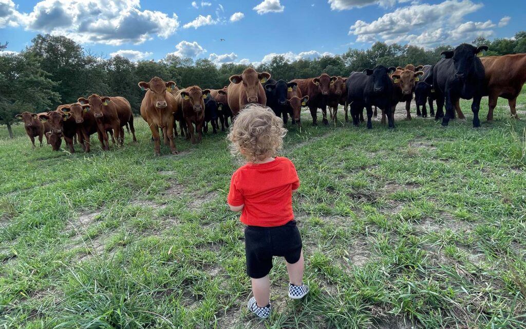image_67518721